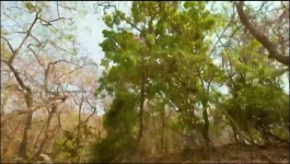 Tenali Rama - 3rd April 2025